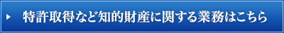 特許取得など知的財産に関する業務はこちら