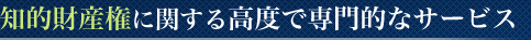 知的財産権に関する高度で専門的なサービス